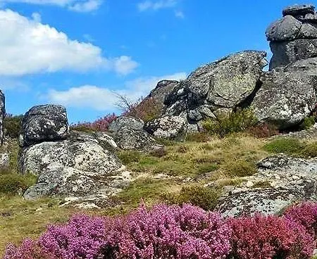 Konukevi Ardora